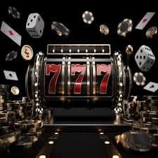 timi slot