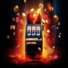 timi slot
